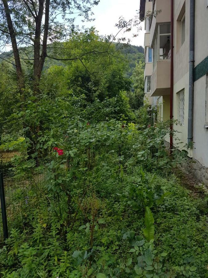 Premium Apartment Sinaia Exteriör bild